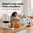 Neopawo Dine — Automatic Cat Feeder with Camera