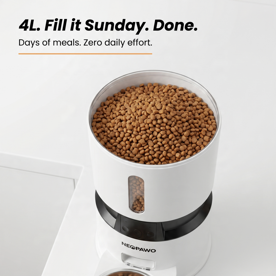 Neopawo Dine — Automatic Cat Feeder with Camera