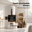 Neopawo Dine — Automatic Cat Feeder with Camera